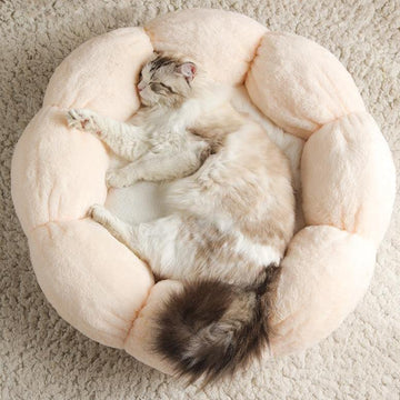 Pet Beds Enchanted Peach Enchanted peach