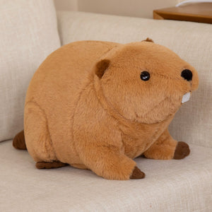 Billy & Willy the Fluffy Brown Beaver Plushie-Enchanted peach