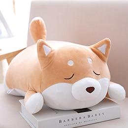 Chubby Shiba Inu-Enchanted peach