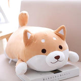 Chubby Shiba Inu-Enchanted peach