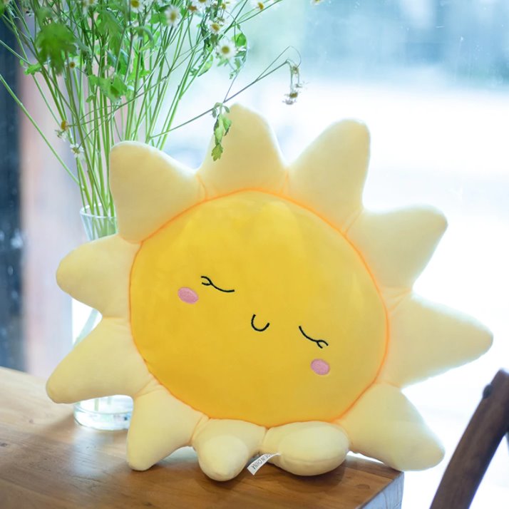 Gentle Sleeping Sun Pillow-Enchanted peach