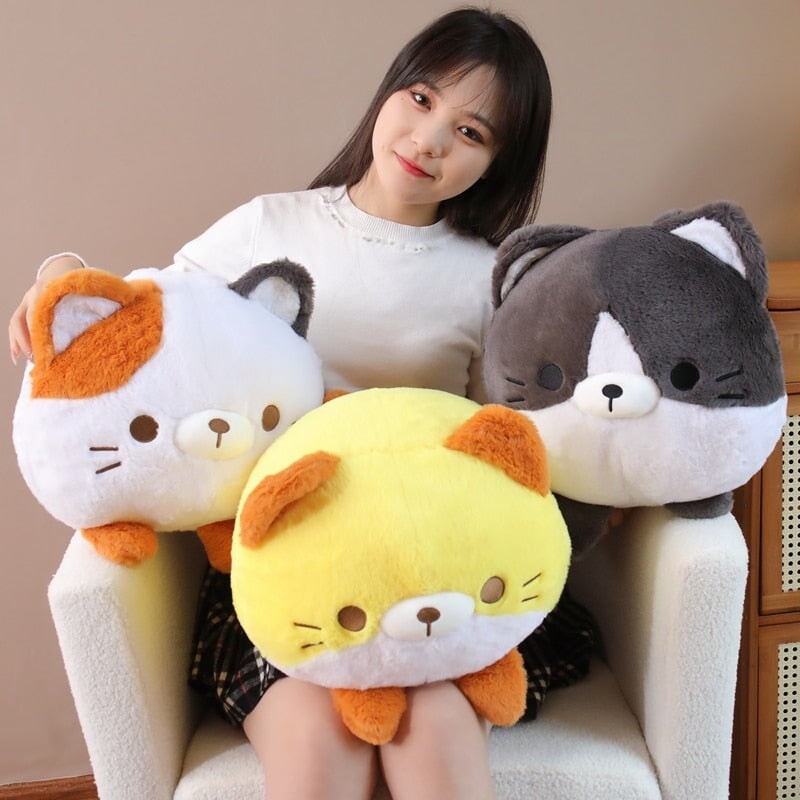 Leo, Binx and Lola the Fluffy Cat Plushies-Enchanted peach