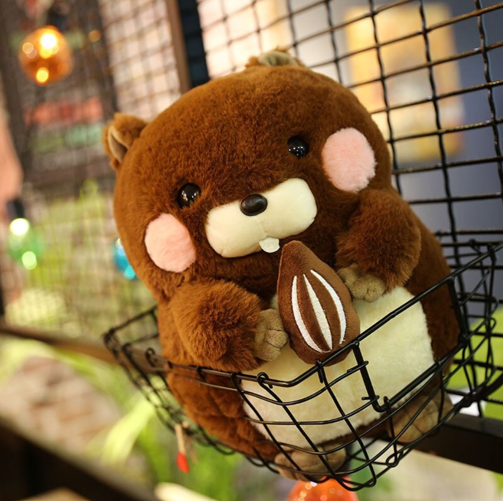 Snacking Beaver Plushies | LIMITED STOCK-Enchanted peach